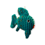 The Most Beautiful Fish